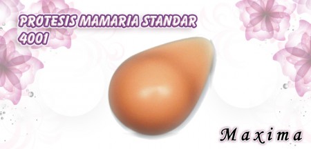 Protesis Mamaria Standar